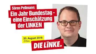 S&ouml;ren Pellmann: Ein Jahr Bundestag - eine Einsch&auml;tzung der LINKEN