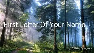 What's Your Warrior Cat Name? (QUIZ)