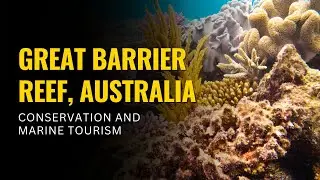 Great Barrier Reef, Australia &ndash; Conservation and Marine Tourism