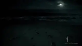 Lose Yourself- Military Tribute
