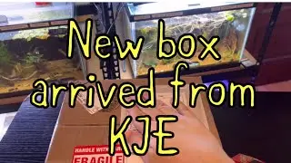 New stuff arrived from @kjeaquatics  | Unboxing
