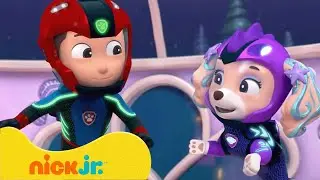 Psi Patrol | Psi Patrol kontra burmistrz Humdinger! | Nick Jr. Polska