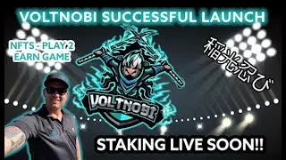 VOLTNOBI SUCCESSFUL LAUNCH - Biggest Buy Competition - Staking on Brewlabs Coming