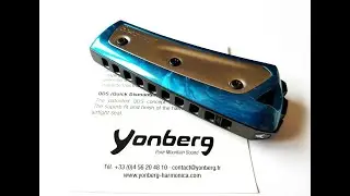 Harmonijka Yonberg - recenzja test review overview harmonica blues harp