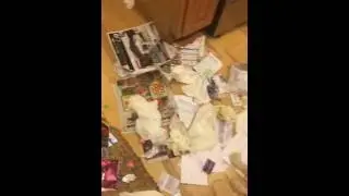 Dogs make mess funny