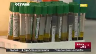 Worry grows of scale of Lassa fever outbreak being under-reported