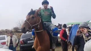 URGUT PIROVDA MO'MNABOT KO'PKARISI 26.01.2026