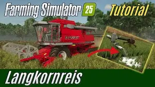 LS25 Tutorial: Langkornreis (F&uuml;r Einsteiger)
