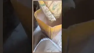 PRODUCTION PROCESS Of RECYCLED SNAIL SHELLS #snailfarming #snails #backyardfarming #youtubeshorts