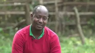 BBC World Service TV - Smart Money, Jaguza LIVESTOCK Health Monitoring System
