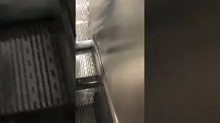 TTC Station Floods