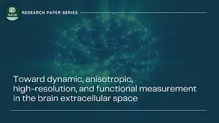 UTD Mechanical Engineering - Understanding Functional Measurement in the Brain Extracellular Space