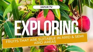 PERFECT FRUITS FOR ARID & SEMI ARID AREAS- Japur Farm Solutions