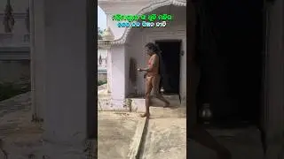 ଚନ୍ଦନ ଜଳ ସିଞ୍ଚନ ନୀତି🙏🏻#mahimagadi #jorandagadi#mahimadharmashorts #shorts #viral