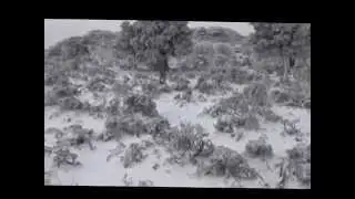 vivaldi winter ikaria greece