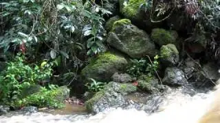 March gulch water flow Top.avi