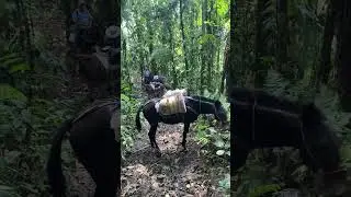 Se nos viró la carga Ecuador