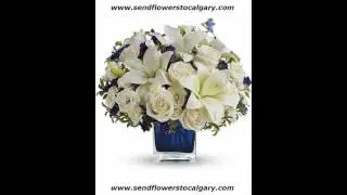 Send flowers from Turkey to Calgary Alberta Canada