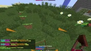 IiElementsiI and NinjaBunny hacking - aura