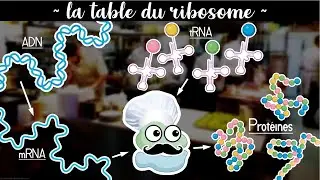 [MT180] La modification des ARN de transfert - Marine Leclercq - ULi&egrave;ge 2023