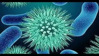 EPIDEMIC DISEASES ACT 1897 & EPIDEMIC DISEASES AMENDMENT ACT 2020