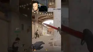 с такими тиммейтами и противники не нужны #cs2 #counterstrike #csgoclips #memes #csgo #standoff2