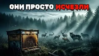Загадочные МАССОВЫЕ Исчезновения Животных, Которые До Сих Пор Пугают Ученых