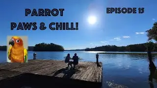 Parrot, Paws & Chill | Pet Sitting + Lake Cabin Day + Queen Mary 2 Plans! Just 3 weeks till leaving.