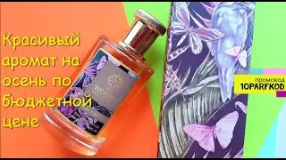 Dark Forest - красивый аромат для осени по бюджетной цене (распаковка посылки) #парфюм #ароматы #топ