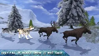 Arctic Wolf Simulator Android Gameplay