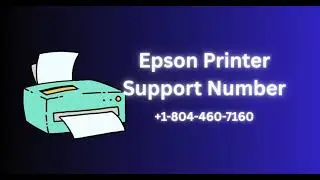 Contact Us - Epson U.S.A Inc Reviews & Experiences