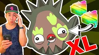 XL STUNFISK GOBBLES UP MORE CANDY! SEE YOU IN ULTRA LEAGUE ;-)