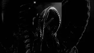 Aliens Explained | Xenomorphs, Predaliens and More