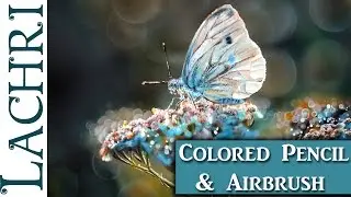 Butterfly Colored Pencil drawing & Airbrush demonstration w/ Lachri