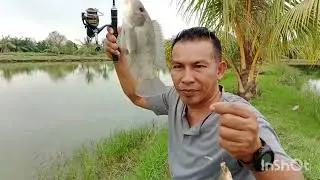 bukak kolam perdana tgl 8,2,2026,di situs cina kolam pak D,tiket 100 rb jam 5 pagi