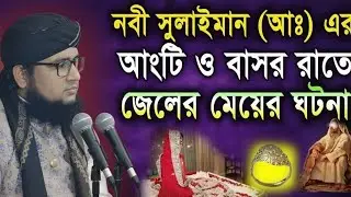ওয়াজ//হযরত সুলাইমান আলাই সালাম এর আংটির মোজেজা /হযরত মাওলানা আশিকুর রহমান হেলালী,,, 01619973364