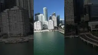 Claughton Island/ Mandarin Oriental Hotel in Miami #mandarinoriental  #miami #hotel #vlog #shorts