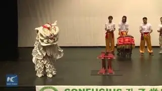 Chinese Culture Festival held in Chicago