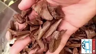 ادخل شوف عطر الملك سلمان😳 والملك عبدالله والملك فهد