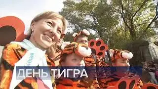 Часы и начало программы Новости (Первый канал, 29.09.2019)