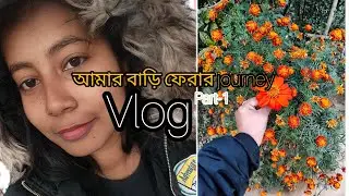আমার বাড়ি ফেরার সময় কি কি করলাম//vlog//part -1🚊
