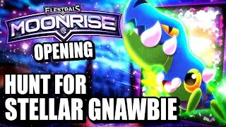 Hunt For Stellar Gnawbie pt 2