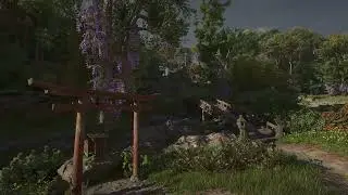Summer | Assassin's Creed Shadows Beauty | Songs in Description