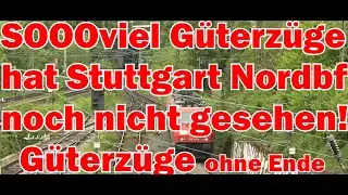 Soooviele G&uuml;terz&uuml;ge hat Stuttgart Nord noch nicht gesehen!  Es steppt der B&auml;r!