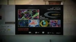 Passion for Knowledge 2010 | Nanoart 21 | DIPC
