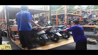 BAWA TRUK PENGANGKUT MOTOR BARU