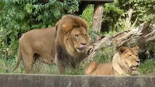 ZOO WARSZAWA