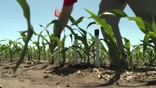 Installing Soil Moisture Sensors in the Field
