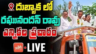 Raghunandan Rao LIVE | Raghunandan Rao Election Campaign in Dubbaka | Telangana Elections | YOYO TV