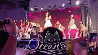 [Fancam]COSMOS - You Get Lucky  @DONKIPOPxIDXxCOSMOSTH
